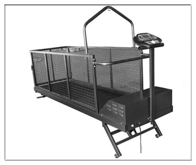 pet treadmill DF-C400WSH 